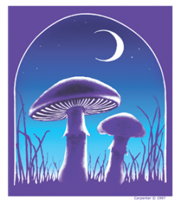 Mushroom Sticker