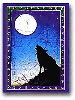 Wolf Postcard